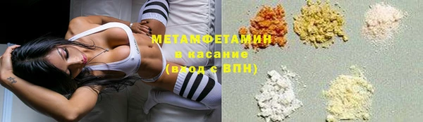 молекула духа Вяземский